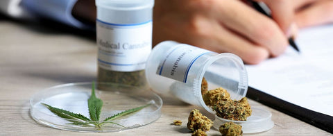 Schweiz: Medizinisches Cannabis soll ab 2022 leichter erhältlich werden