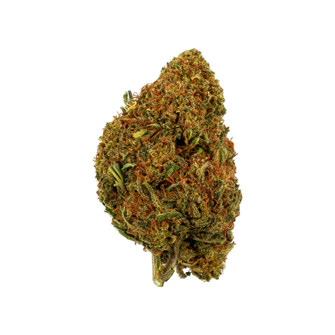 Alpina Green Outdoor CBD Blüte – Schweizer Premium-Outdoor-Cannabisblüte mit intensivem Aroma und natürlicher Terpenvielfalt.