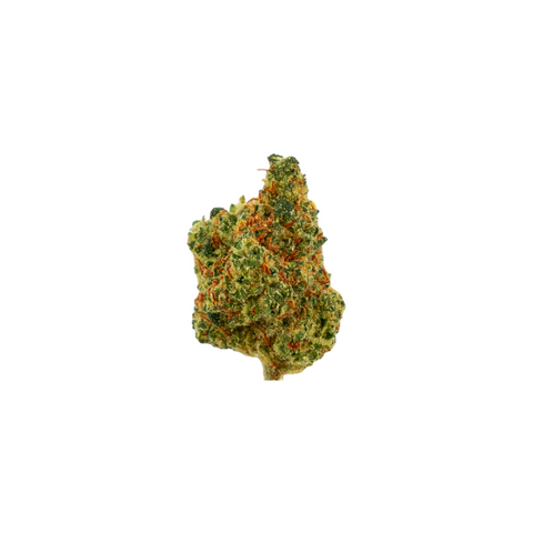 Fruit Punch Popcorn CBD-Blüten – Kompakte, harzige Nuggets mit intensiven Terpenen, ideal für ein tropisch-fruchtiges Geschmackserlebnis.