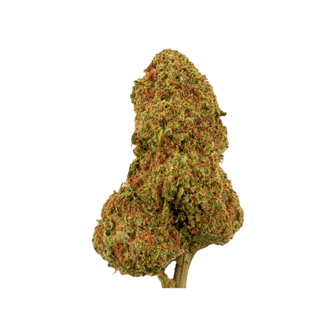 Fruit Punch Treibhaus CBD-Blüte – Im Gewächshaus angebaut, mit dichten, harzigen Buds und einem tropisch-fruchtigen Terpenprofil.