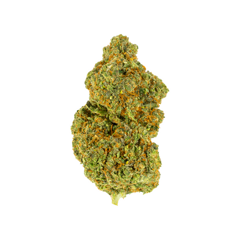 Gorilla Smack CBD-Blüten von Green Passion online kaufen – hochwertiges Schweizer Indoor-Cannabis mit dichten, harzigen Buds und intensiven Aromen, perfekt für Genießer.