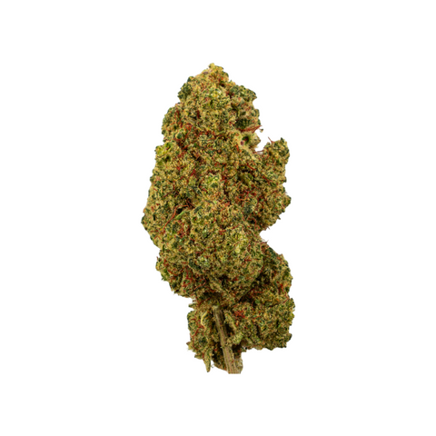 Lemon Passion CBD Blüten von Green Passion – Premium Schweizer Indoor-Cannabis mit zitronig-frischem Terpenprofil, dichten, harzigen Buds und intensivem Aroma.