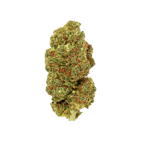 CBD Blüten Lemon Skunk von Green Passion – Schweizer Indoor-Qualität mit intensivem Zitrus- und Skunk-Aroma, fein getrimmte Buds mit hohem CBD-Gehalt.