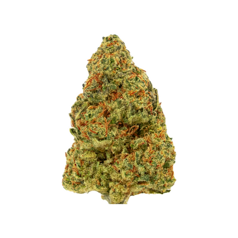 Maui Kush CBD Blüten – Schweizer Indoor-Qualität mit fruchtigem, exotischem Geschmack. Nahaufnahme der saftig-grünen Hanfblüte mit intensiven Trichomen. Green Passion steht für hochwertige CBD-Produkte.