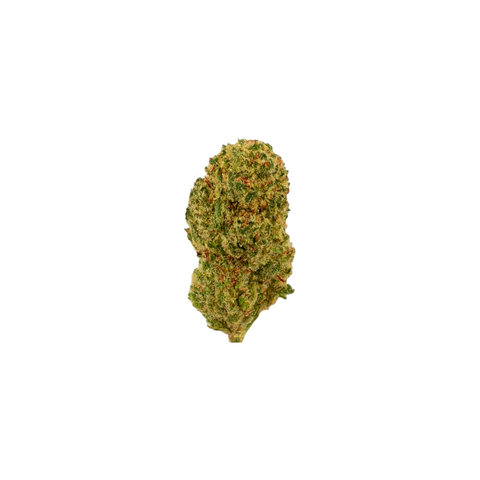 Maui Wowy Popcorn CBD-Blüten – Indoor angebaut in der Schweiz, mit kleinen, harzigen Buds und exotisch-fruchtigen Terpenen. Perfekt für Liebhaber intensiver Aromen.