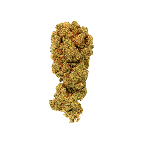 Orange Passion CBD Blüten – Schweizer Indoor-Cannabis von Green Passion. Hochwertige CBD Blüten mit fruchtigem Aroma und intensivem Zitrusgeschmack.