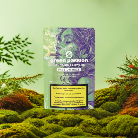 CBD Blüte Passion Haze Treibhaus auf natürlichem Hintergrund – Dichte, kräftige Buds mit lebendigem Haze-Aroma. Premium Greenhouse-Qualität aus der Schweiz.