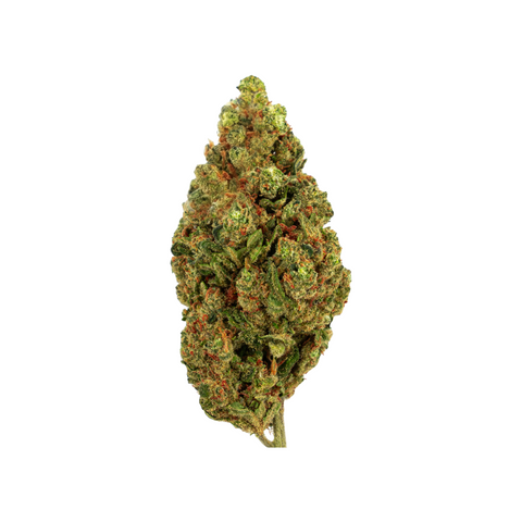 Passion Kush CBD Blüten – Indoor angebaut in der Schweiz, mit dichten, harzigen Buds und intensiven Kush-Terpenen. Perfekt für Liebhaber kräftiger Aromen.