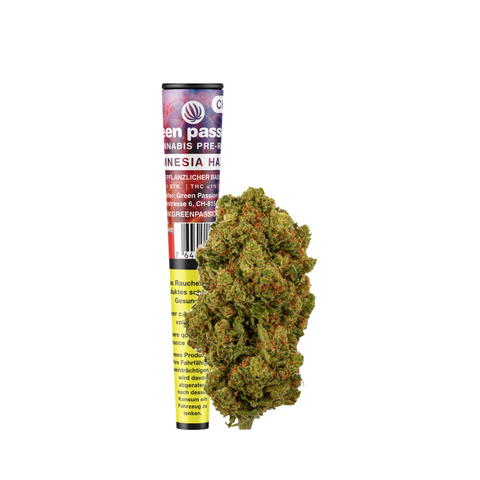 CBD Pre-Roll Amnesia Haze von Green Passion – Hochwertiger CBD-Joint aus Schweizer Indoor-Anbau mit intensivem Zitrus- und Pinienaroma, ideal für entspannte Momente