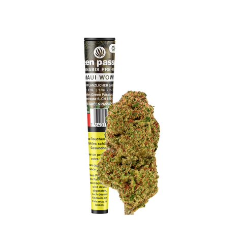 CBD Pre-Rolls Maui Wowy – Schweizer Indoor-Qualität von Green Passion. Hochwertige CBD-Joints mit tropischem Aroma, verpackt in einer praktischen Tube. 