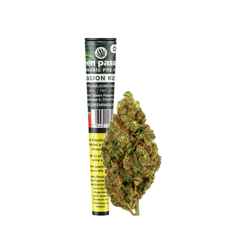 Passion Kush CBD Pre-Rolls mit Schweizer Indoor-Blüten. Intensives Aroma, reich an Terpenen. Handgerollt, THC <1% – perfekt für CBD-Genuss.