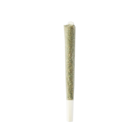 CBD Pre-Roll Fruit Punch in verschlossener Tube – praktische, luftdichte Verpackung für den fertigen CBD-Joint von Green Passion. Ideal für unterwegs, schützt das Aroma der hochwertigen Indoor-CBD-Blüten. THC <1%, Schweizer Qualität.