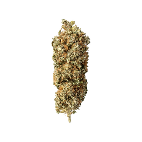 CBG-Blüte Freedom Flower – Dichte, harzige Buds aus Schweizer Anbau, ideal für alle, die ein sanftes und ausgewogenes Geschmackserlebnis suchen.